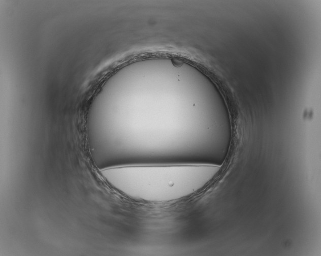 X0000111391494200907100948