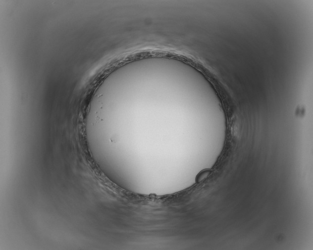 X0000111391495200907100948