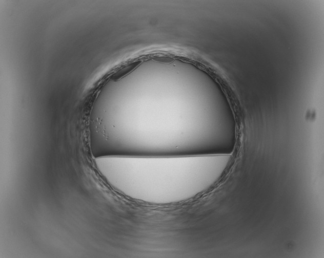 X0000111391496200907100948