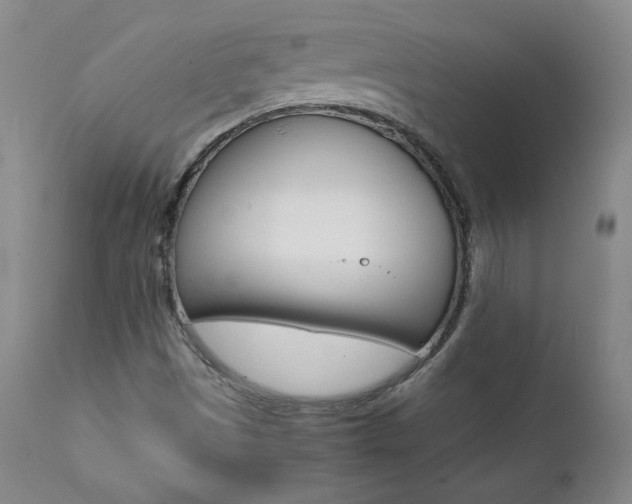 X0000111391497200907100948