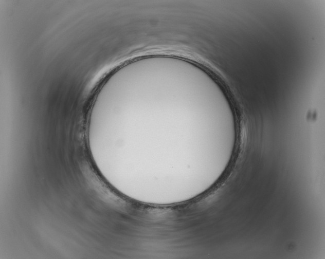 X0000111391498200907100948