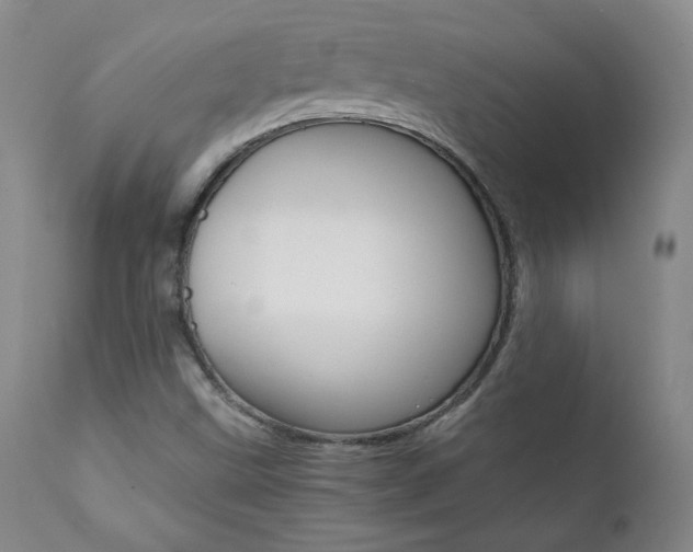 X0000111391499200907100948