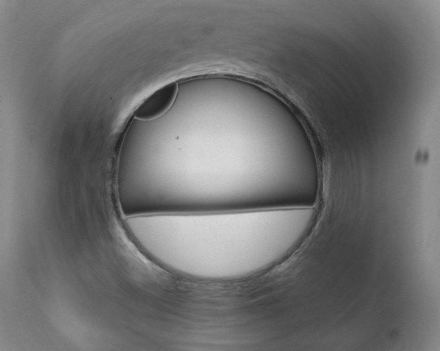 X0000111391500200907100948