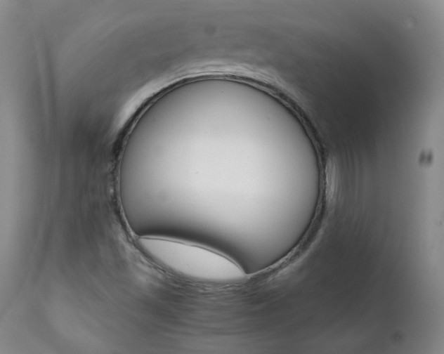 X0000111391501200907100948
