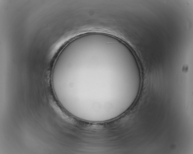 X0000111391503200907100948