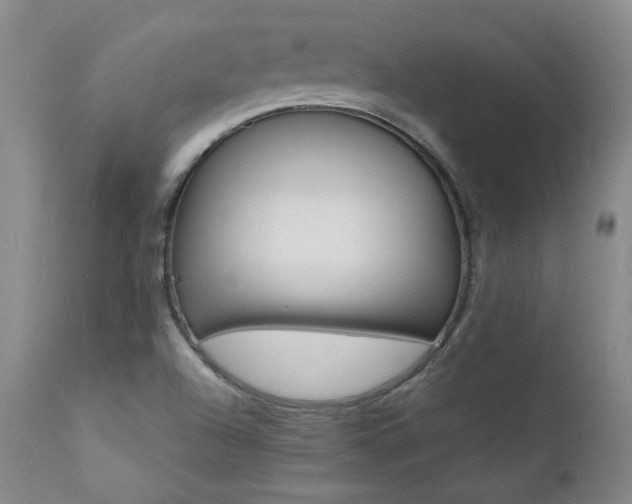 X0000111391504200907100948
