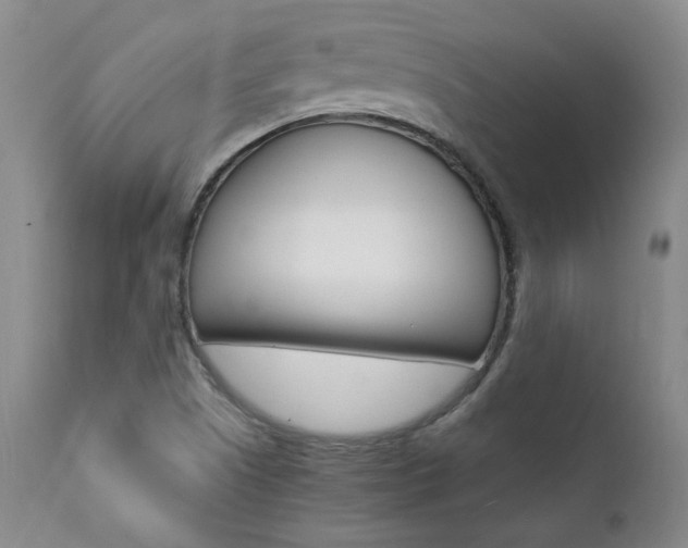X0000111391505200907100948