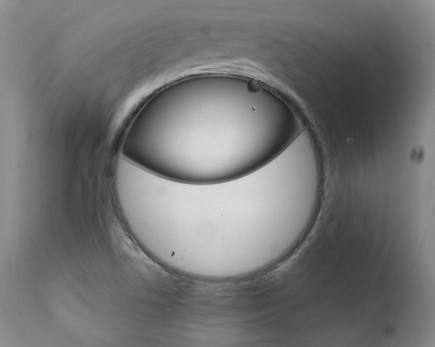 X0000111391506200907100948