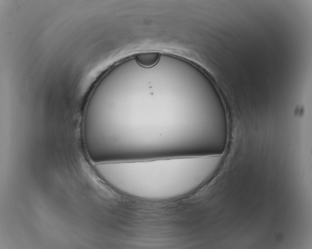 X0000111391507200907100948