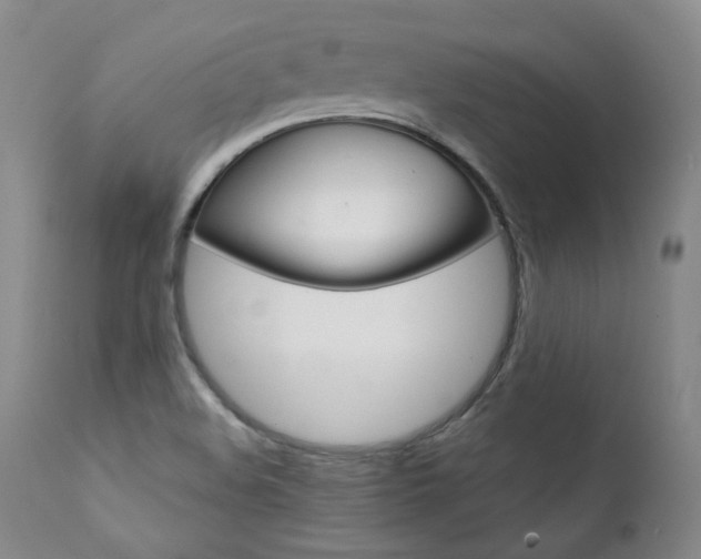 X0000111391508200907100948