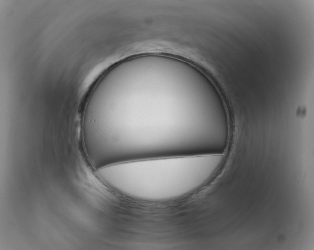 X0000111391509200907100948