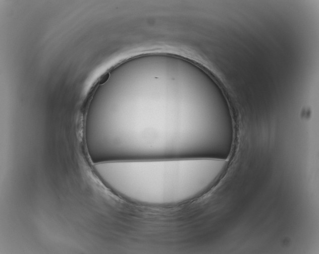 X0000111391510200907100948