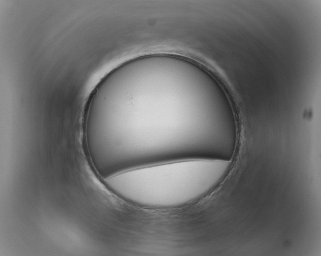 X0000111391512200907100948
