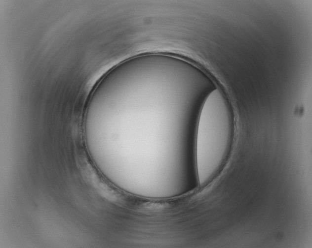 X0000111391513200907100948