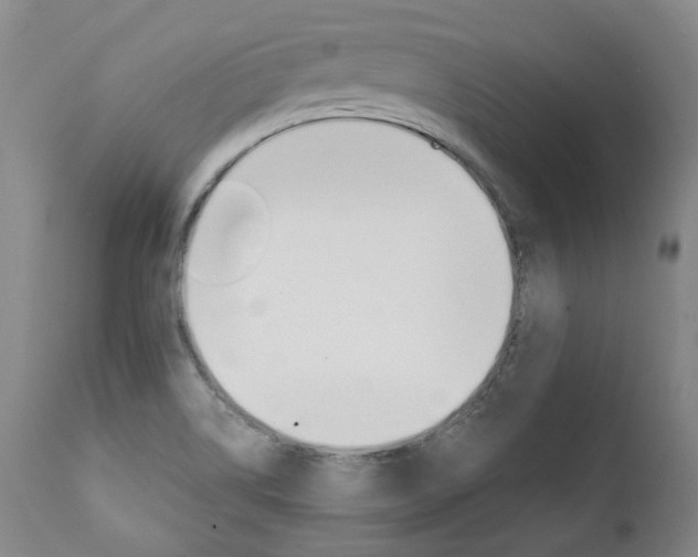 X0000111391514200907100948