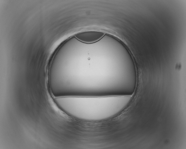 X0000111391515200907100948
