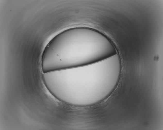 X0000111391516200907100948