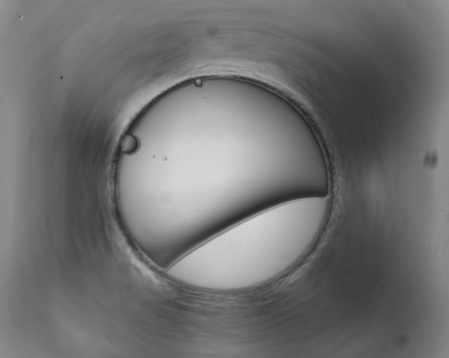 X0000111391517200907100948