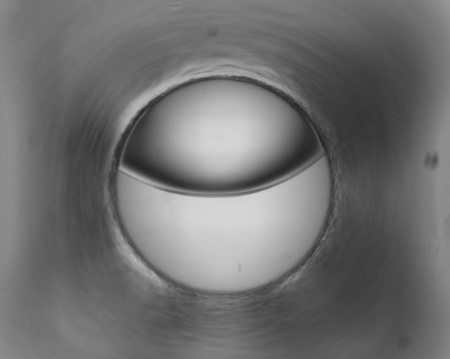 X0000111391518200907100948
