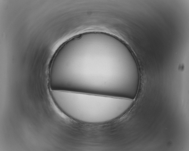 X0000111391519200907100948