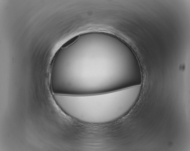 X0000111391520200907100948