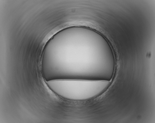 X0000111391521200907100948