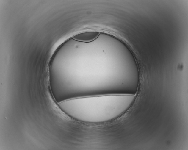 X0000111391522200907100948