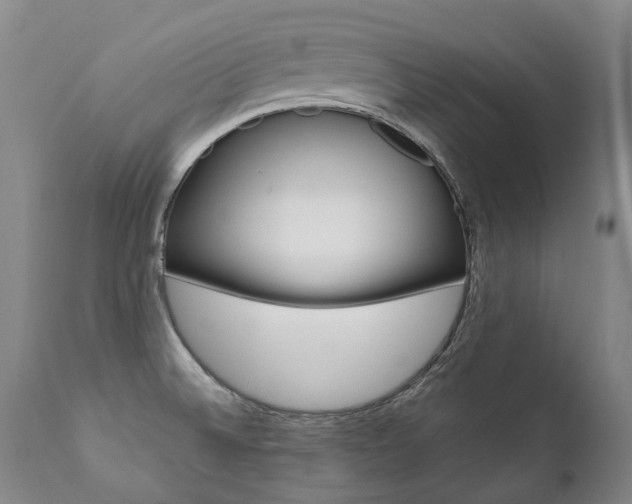 X0000111391524200907100948