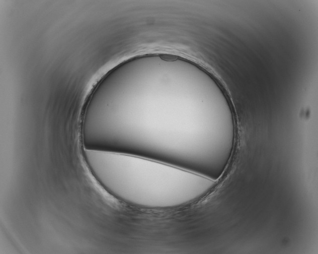 X0000111391525200907100948