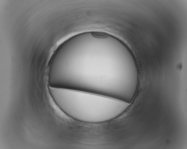 X0000111391526200907100948