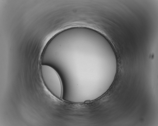 X0000111391527200907100949