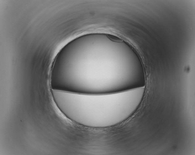 X0000111391528200907100949