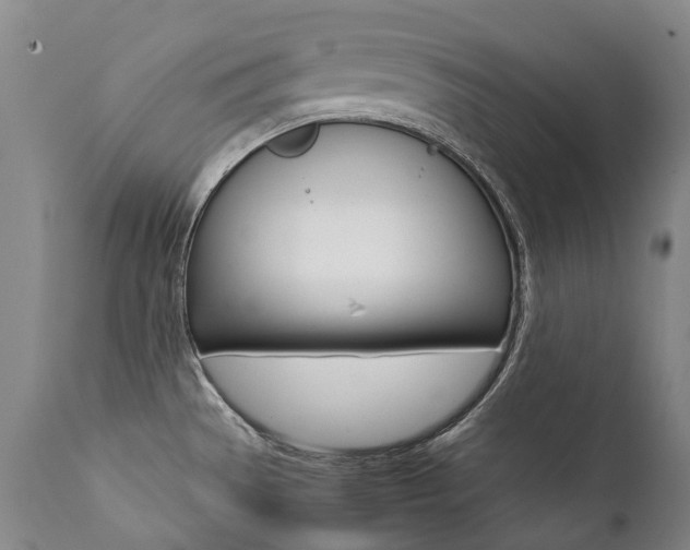 X0000111391529200907100949