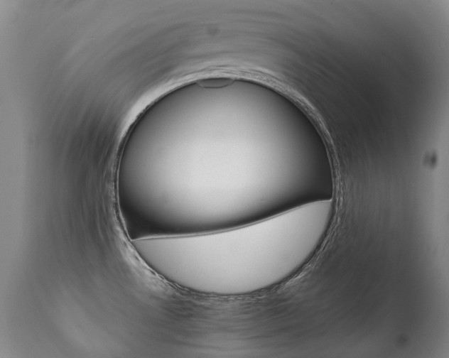 X0000111391530200907100949
