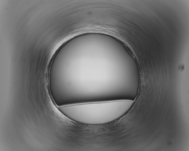 X0000111391531200907100949
