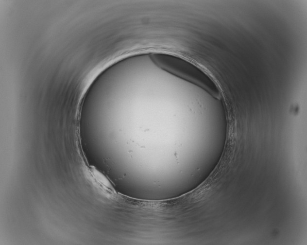X0000111391532200907100949