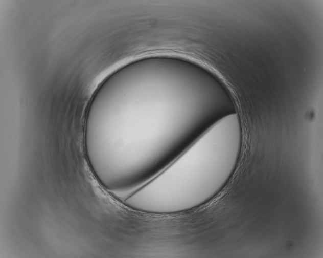 X0000111391534200907100949