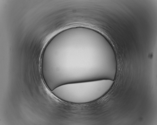 X0000111391535200907100949