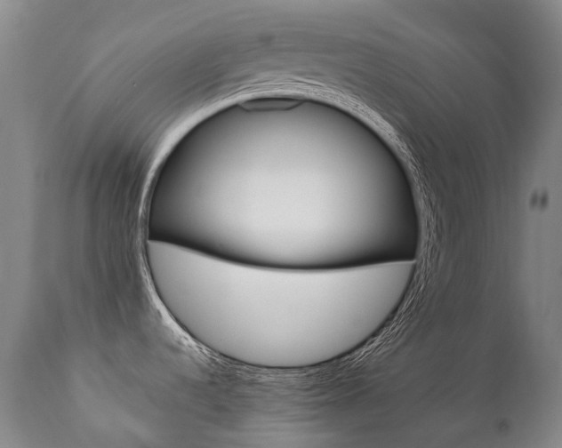 X0000111391536200907100949