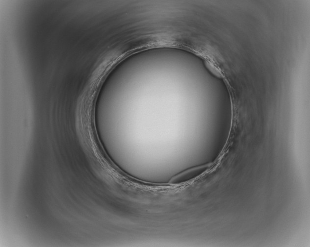 X0000111390001200907101156