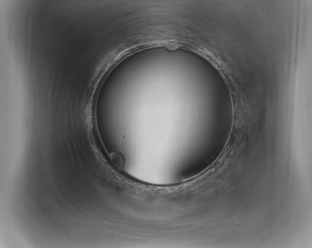 X0000111390002200907101156