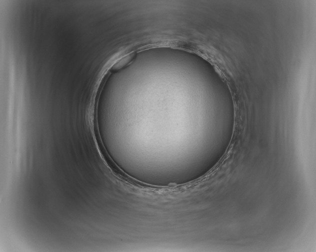 X0000111390003200907101156