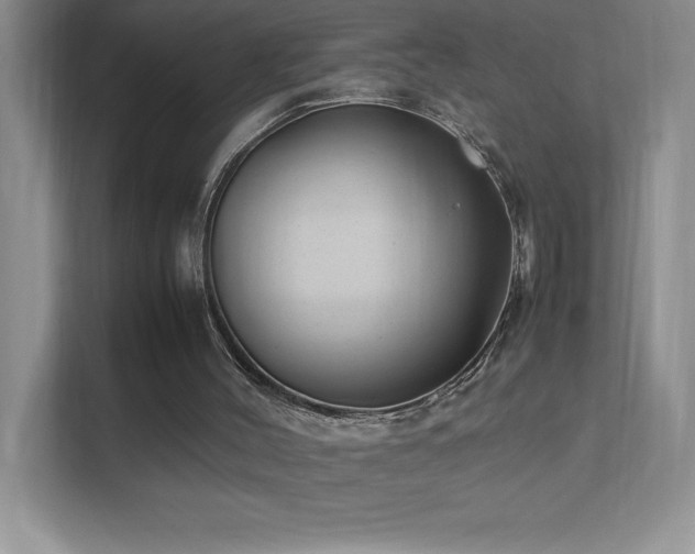 X0000111390004200907101156