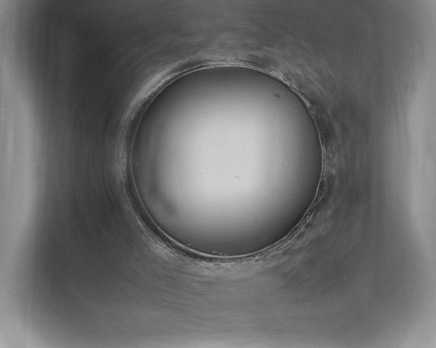 X0000111390005200907101156