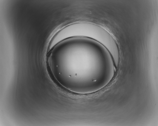 X0000111390007200907101156