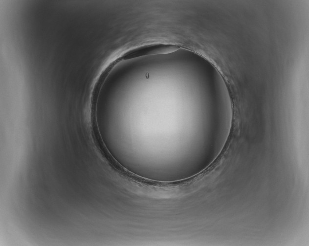 X0000111390008200907101156