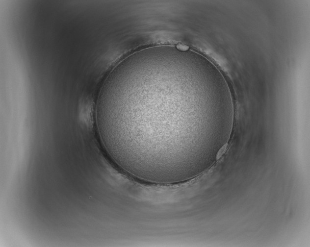 X0000111390009200907101156