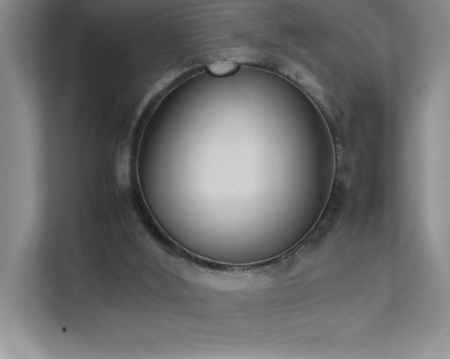 X0000111390012200907101156