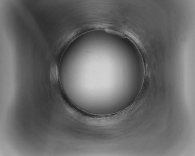 X0000111390013200907101156