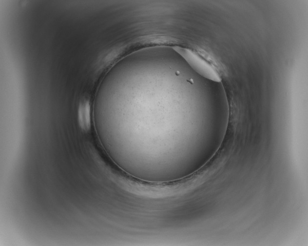 X0000111390014200907101156